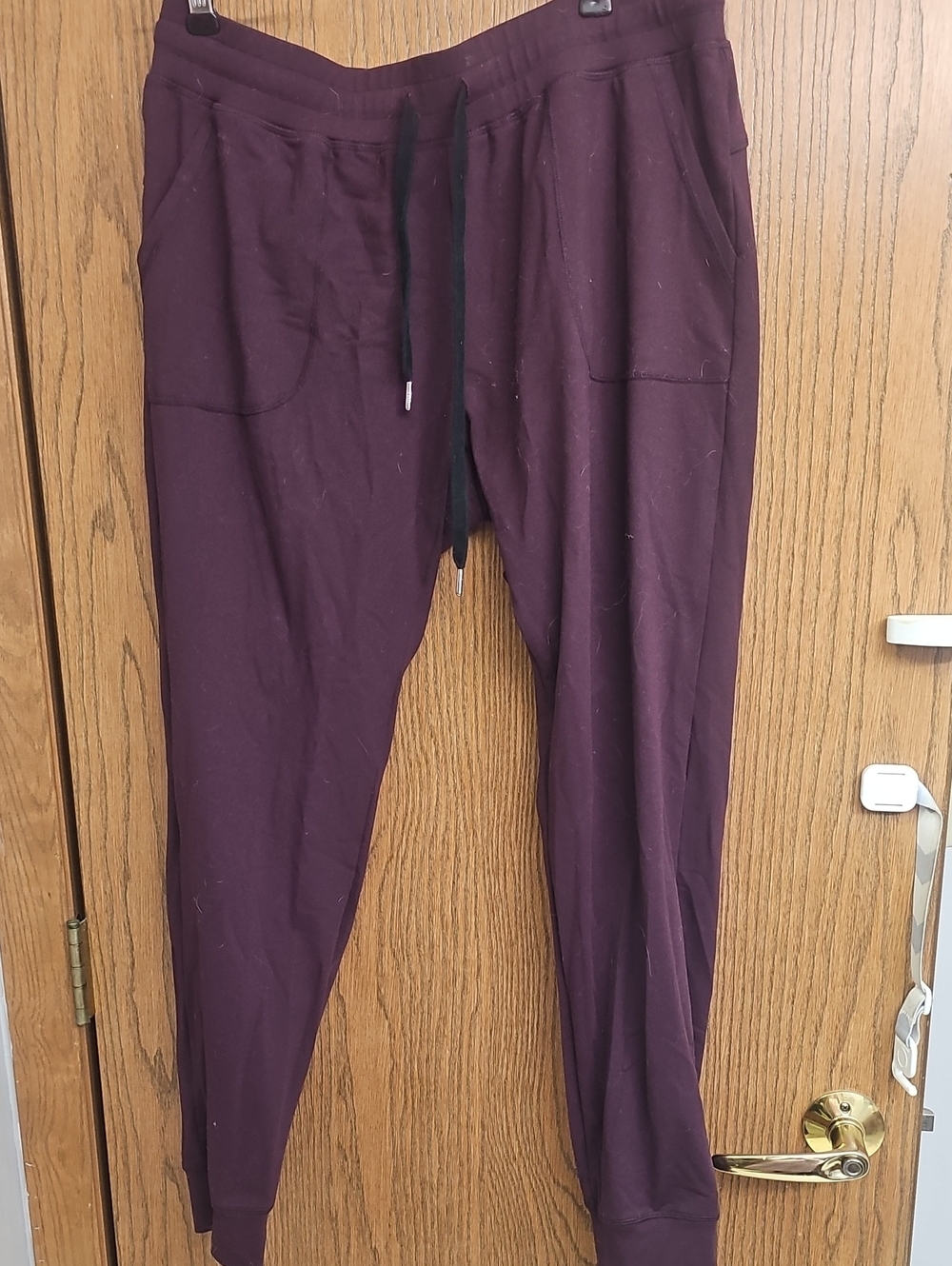 ZYIA Cozy Jogger Pants in Aubergine